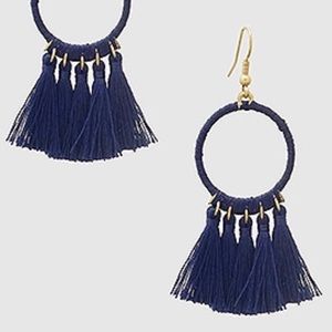 Tassel Navy Earrings